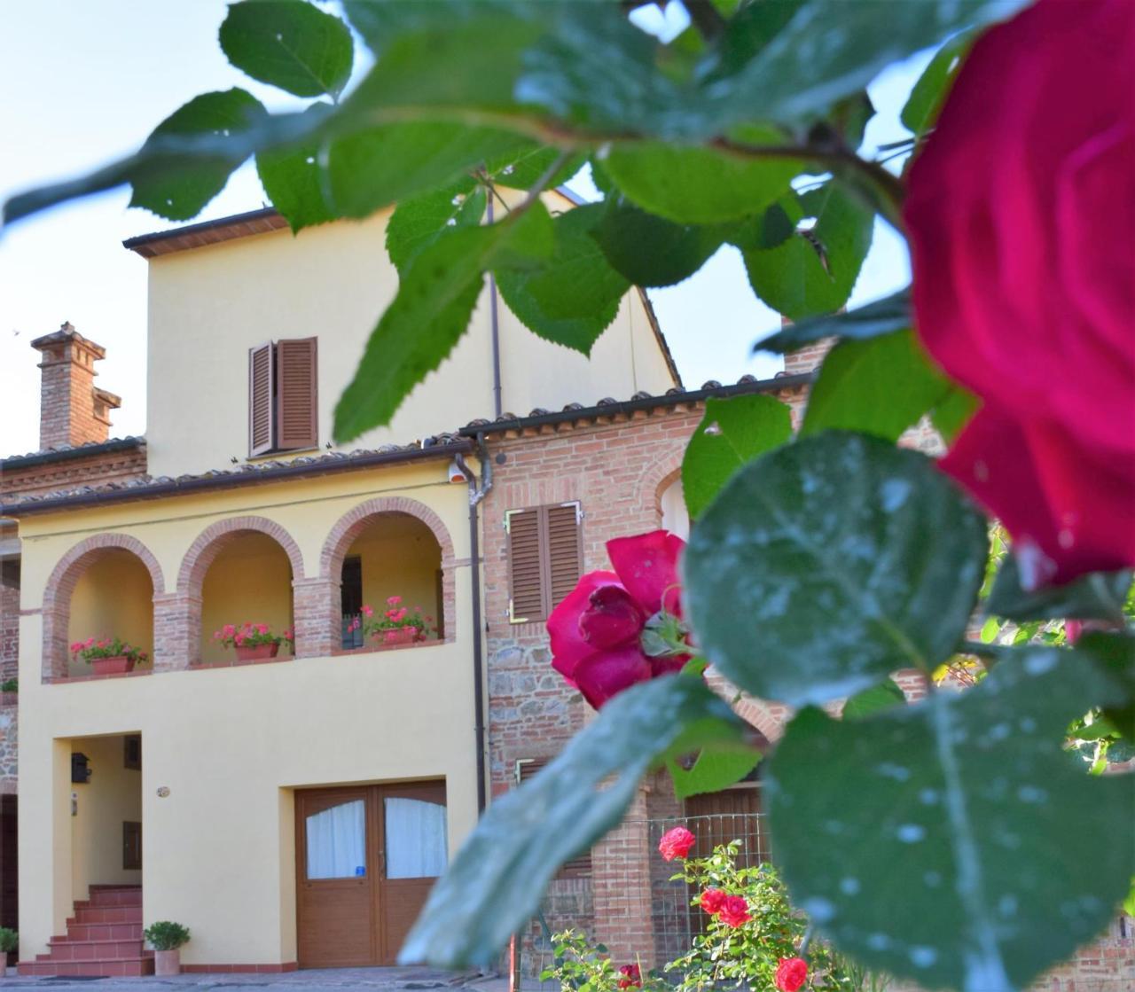 Apartamento La Piccola Loggia Torrita di Siena Exterior foto